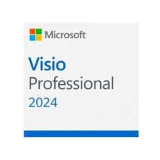 Visio Pro 2024 All Lng Retail Online ESD