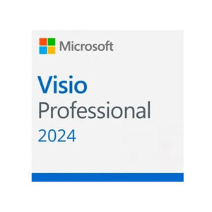 Visio Pro 2024 All Lng Retail Online ESD
