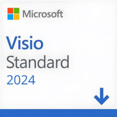 Visio Std 2024 All Lng Retail Online ESD
